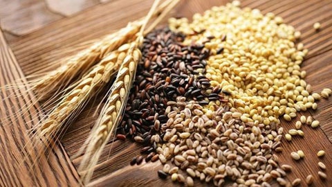 Ngũ cốc nguyên hạt giàu chất đạm, chất xơ, khoáng chất và vitamin.