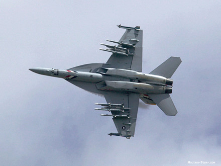   F-5 Freedom Fighter đặt nền tảng cơ bản cho thiết kế cánh của Super Hornet, Super Hornet chỉ mở rộng thêm khẩu độ phần cánh nối với thân, và phần mũi được phát triển từ Northrop YF-17 Cobra, một loại máy bay chiến đấu hạng nhẹ.