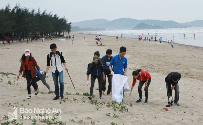 Các bạn tình nguyện viên được chia làm những nhóm khoảng 10 người, đi dọc bãi biển hàng km nhặt rác cho vào bao. Ảnh: Chu Thanh