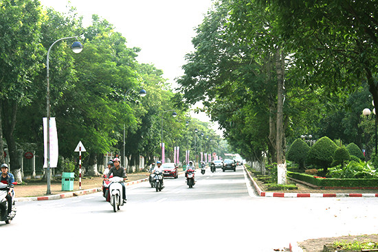Cây xanh trên tuyến phố Lê Mao (TP.Vinh). Ảnh: Đào Tuấn