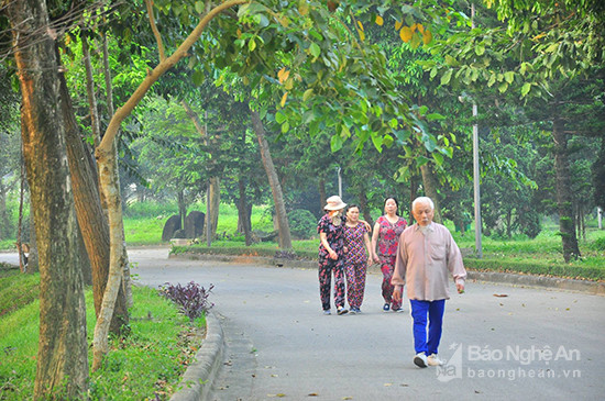 Bạn già đi bộ thể dục buổi sáng.  Ảnh: Trần Hải