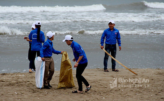 Đoàn viên thanh niên Thị xã Cửa Lò tham gia vệ sinh môi trường biển. Ảnh: H.T