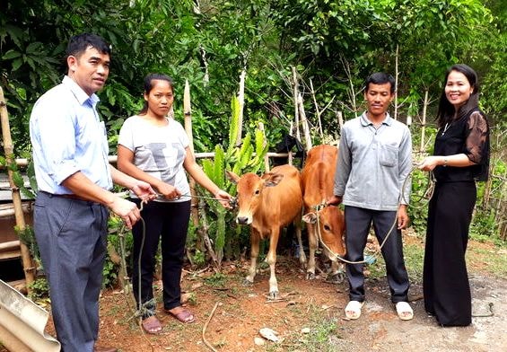  Đại diện các đơn vị trao cặp bò trị giá 24 triệu đồng cho gia đình anh Vi Văn Dậu và Ốc Văn Thủy bản Khe Tỳ, xã Hữu Kiệm. Ảnh: Xuân Tuấn