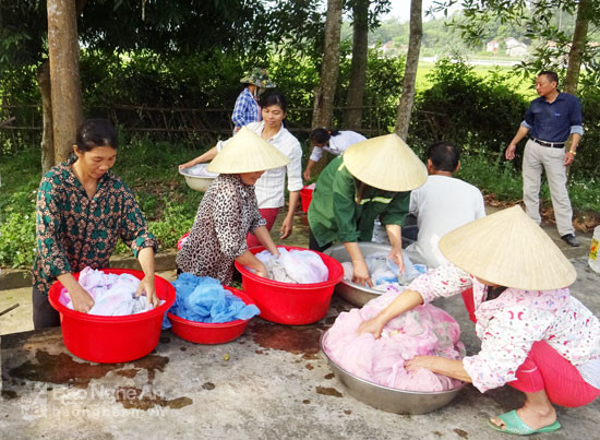 Tẩm màn tại xóm Sơn Thành, xã Hùng Thành. Ảnh: Hồng Nhung