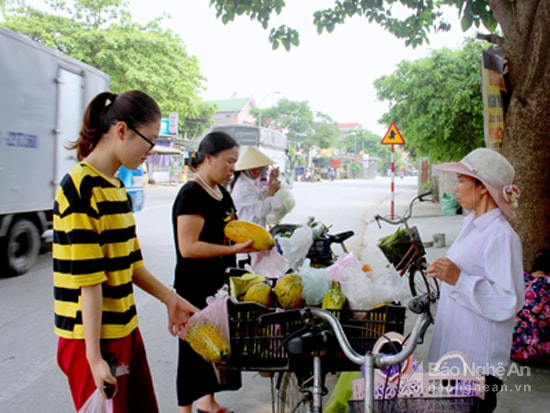 Mùa dưa bở Cửa Lò. Ảnh Quang An