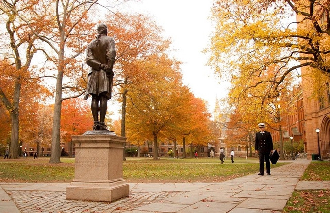 Giống như nhiều đại học nổi tiếng, khuôn viên Đại học Yale có rất nhiều cây và thảm cỏ.