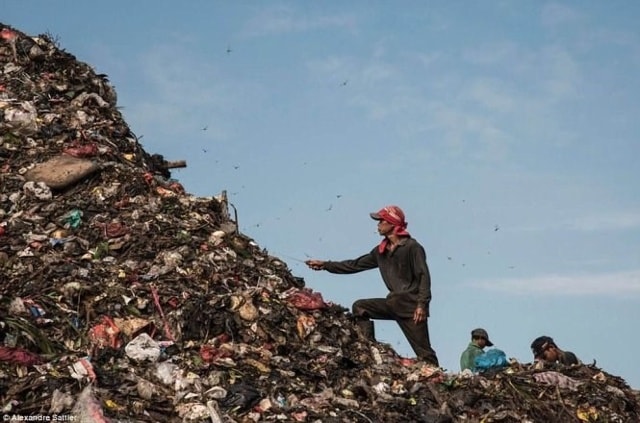 Ngày qua ngày, họ cần mẫn đào bới rác.