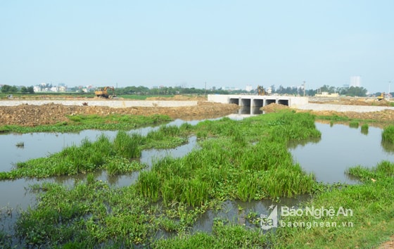 Tìm hiểu được biết, lâu nay việc tiêu úng trên vùng đồng ruộng Hưng Dũng phụ thuộc vào sông Rào Đừng. Vậy nhưng từ khi thực hiện dự án Hồ điều hòa, một đoạn sông Rào Đừng đã nằm trong lòng hồ; trong khi kè và đường bao quanh hồ chặn toàn bộ hệ thông kênh mương thoát nước ở cánh đồng Hưng Dũng. Ảnh Nhật Lân