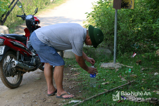 Chỉ cần dùng 1 chiếc sào dài là có thể vớt được nhện từ trên cao xuống. Ảnh: Đào Thọ