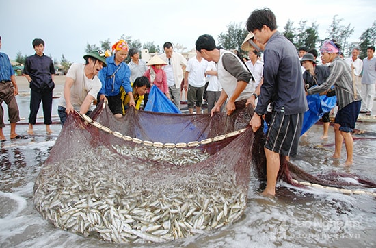 Du khách cùng xem ngư dân kéo lưới đánh cá ở Cửa Lò. Ảnh Thành Cường