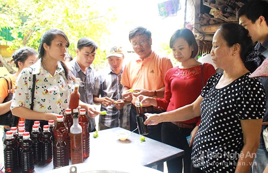 Các đoàn khách đến thăm làng nghề sản xuất nước mắm ở Cửa Lò. Ảnh: Vương Bằng.
