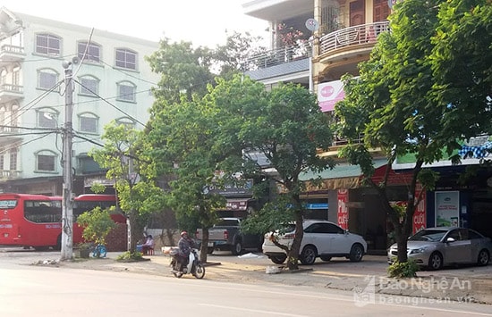 Ô tô đậu trên vỉa hè ở đường Trần Hưng Đạo, thành phố Vinh