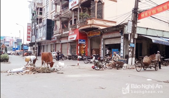 Các hành vi trên liên tục tái diễn mà không có bất cứ sự can thiệp từ phía cơ quan chức năng và những người có mặt tại hiện trường. Ảnh: T.Q