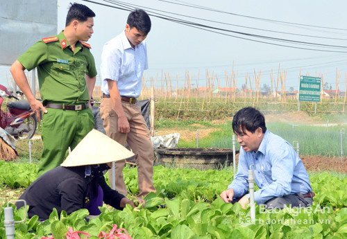 Kiểm tra việc chấp hành các quy định sản xuất rau an toàn của người dân xã Quỳnh Lương, huyện Quỳnh Lưu. Ảnh: Thành Chung