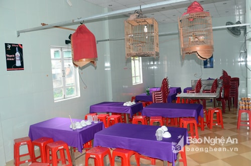 Lồng chim nằm trên bàn ăn....