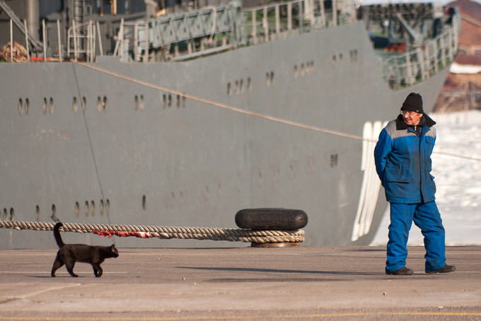 Mèo không chỉ có mặt trên tàu nổi, chúng còn xuất hiện dưới tàu ngầm. Tuy không có chuột để bắt, những con mèo này đóng vai trò rất quan trọng trong việc giúp thủy thủ đoàn thư giãn, giúp họ bình tĩnh hơn khi làm nhiệm vụ.  Một số sĩ quan cho rằng mèo có khả năng phát hiện khói và rò rỉ khí tốt hơn mọi thiết bị cảm biến trên tàu ngầm. Nhiều người lại tin rằng mèo có thể mang lại vận may, xua tan bão tố và báo trước thời tiết xấu.
