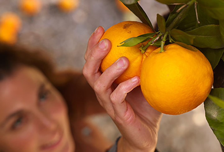 11. Cam Cam rất ngon và đầy vitamin C giúp tăng cường sự trao đổi chất của bạn và giúp tiêu hóa tốt hơn. Hơn nữa, vitamin C có trong cam có thể cung cấp cho bạn nhiều năng lượng hơn và nâng cao tinh thần của bạn. 
