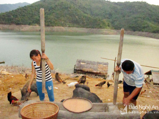 Một hộ dân rời khu tái định cư trở về dựng lều sinh sống bên lòng hồ bản Vẽ. Họ chấp nhận cuộc sống nguyên sơ như thuở xưa trên mảnh đất Mường Lằm. Ảnh: Hữu Vi