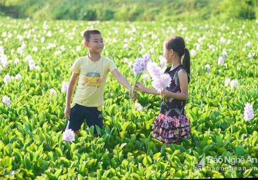 Vẻ đẹp hương đồng, gió nội bao giờ cũng như muốn đánh thức mọi người trở về tuổi thơ. Ảnh: Sách Nguyễn