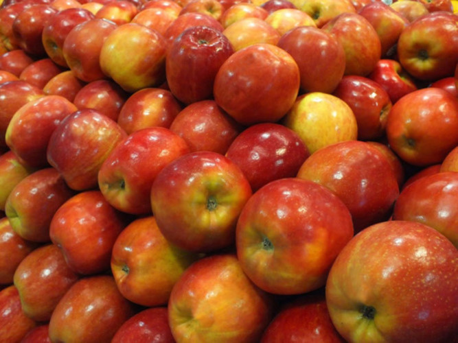 Hấp thu cholesterol dư thừa, táo là thực phẩm có tác dụng giảm lượng mỡ trong máu. 