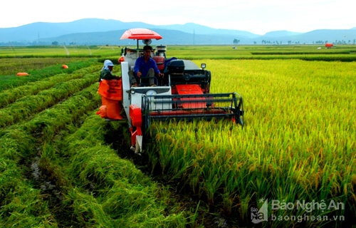 Diễn Châu cơ giới hóa vào đồng ruộng. Ảnh: Mai Giang