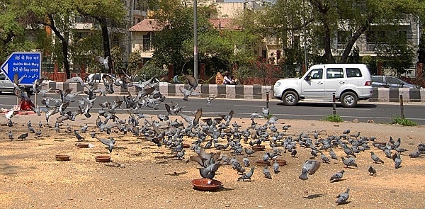 Con đường Ho Chi Minh Marg ở thủ đô New Delhi, Ấn Độ.