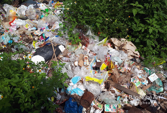 Số lượng rác khá lớn do người dân số ở khu dân cư khá đông đúc này vứt rác ra đây. Ảnh: Hồ Phương