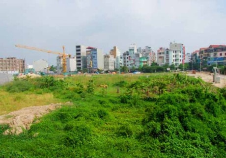 Ảnh minh họa.