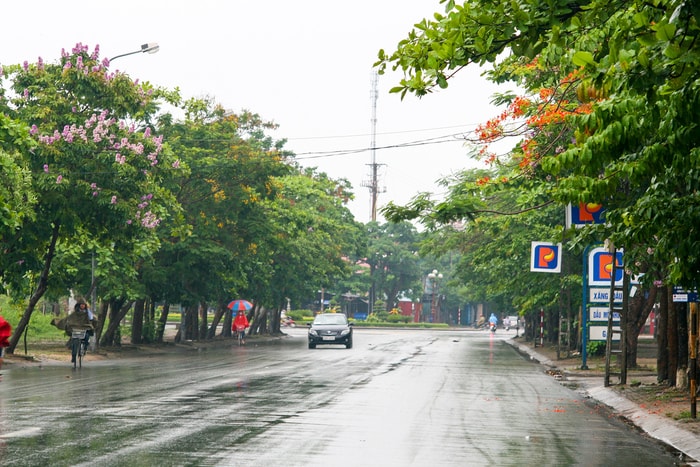 Đường Lê Hồng Phong (Thành phố Vinh).