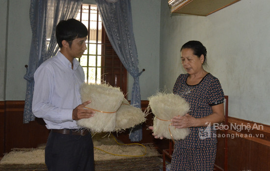 Sản phẩm  bún, miến khô của làng Quy Chính, xã Vân Diên (Nam Đàn)  được xây dựng thương hiệu bảo hộ.