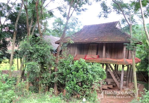 Ngôi nhà của gia đình ông Lô Văn Chương ở bản Tà, xã Châu Hạnh (Quỳ Châu). Ảnh: Kế Kiên
