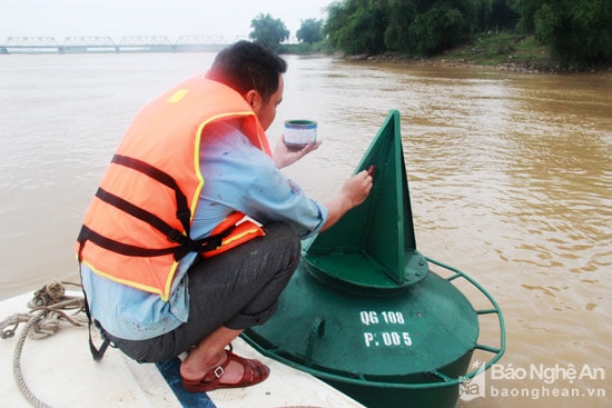 Công ty thủy bộ 2