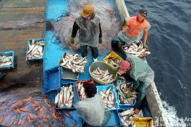 Một tháng, các ngư dân chuyên đánh bắt xa bờ ở vùng biển Vịnh Bắc bộ thường có đến 25 ngày lênh đênh trên biển. Họ dường như quen thuộc với cuộc sống sinh hoạt trên tàu, trong đó có cả những bữa cơm không theo giờ giấc. Ảnh. Tiến Hùng.