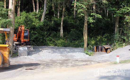 Bãi đổ vật liệu cào bóc từ mặt đường được Công ty Cổ phần 484 đổ vào địa phân của rừng săng lẻ Tương Dương.