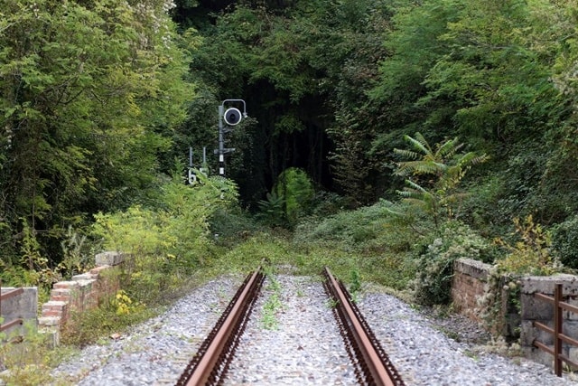 Đường hầm tàu hỏa với cây cối mọc um tùm gần nhà ga Pinzano ở Italy.