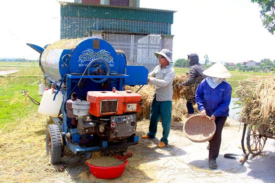 Dịch vụ cho thuê máy tuốt lúa của gia đình anh Nguyễn Trọng Trương, Hưng Tân – Hưng Nguyên. Ảnh: Phương Thúy