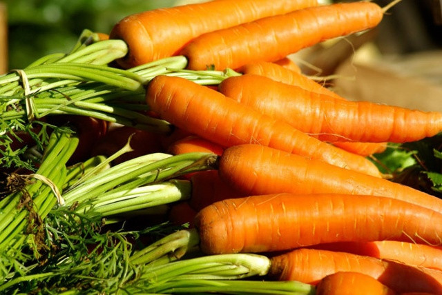 Cà rốt là thực phẩm được khuyên dùng để mang lại vẻ rạng rỡ cho da và sự chắc khỏe cho da đầu vì nó có chứa Vitamin A sản xuất chất nhờn, giúp da không bị mất nước và tóc không bị khô gãy.