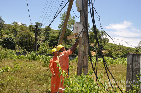Điện lực Anh Sơn kiểm tra, sửa chữa hệ thống lưới điện trên địa bàn.