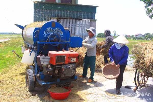 Dịch vụ cho thuê máy tuốt lúa của gia đình anh Nguyễn Trọng Trương ở xã Hưng Tân (Hưng Nguyên).