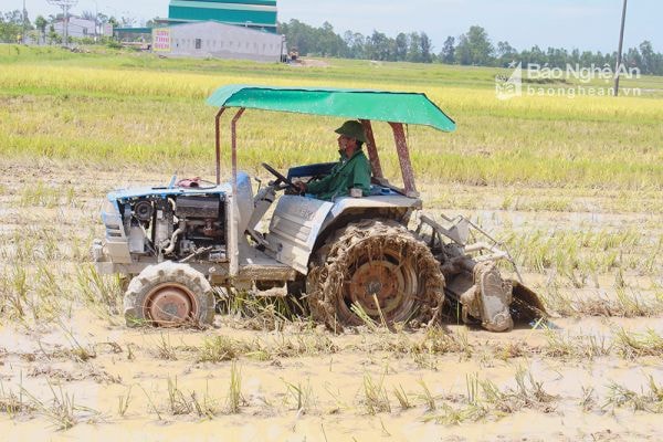 1.Dịch vụ thuê máy làm đất của gia đình anh Cao Quốc Hoàng, Hưng Thái mang về thu nhập từ 50 – 60 triệu đồng/1 vụ và giúp bà con sản xuất đảm bảo đúng lịch thời vụ.