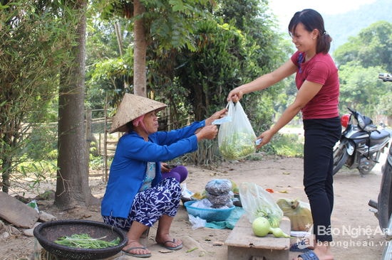 Hoa đu đủ đực lâu nay được bày bán khá nhiều ở các chợ vùng cao. Theo chị Vang Thị Tuyết ở bản Cây Me, xã Thạch Giám ( Tương Dương): “Trong thời gian qua có nhiều người có tiền sử về tiểu đường thường đến tìm mua hoa đu đủ đực về chế biến, có người mua về phơi khô sắc uống… nên hoa đu đủ thường rất đắt khách. Ảnh: Đình Tuân