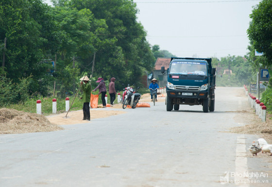 1 Những ngày này, lòng đường tuyến tỉnh lộ 542 đi qua Kim Liên, Xuân Lâm ( Nam Đàn ) bị nhiều hộ dân chiếm dụng làm sân phơi. Ảnh: Thành Cường