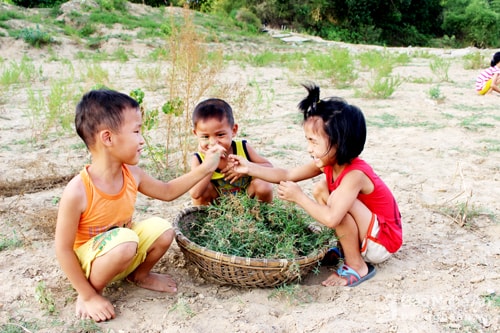 Thích thú với trò đấu gà dưới bãi sông Lam. Ảnh: Huy Thư