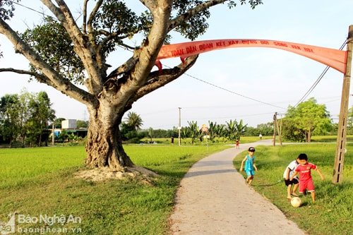 Dưới gốc đa làng thân thương. Ảnh: Huy Thư