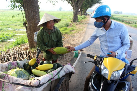 Dưa Nam Đàn. Ảnh: Huy Thư