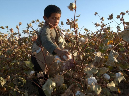 Những quốc gia đang có tỷ lệ lao động trẻ em ở mức báo động phải kể đến như Ấn Độ, Brazil và Kenya. Ảnh: CLP.