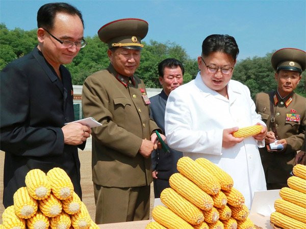 Triều Tiên, Kim Jong Un