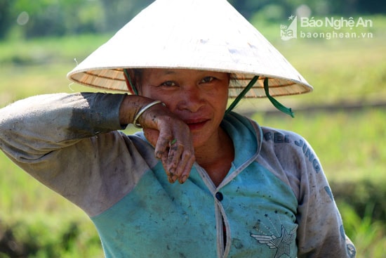 Nỗi vất vả cực nhọc hiện rõ trên khuôn mặt nhễ nhại mồ hôi của bà Minh. Ảnh: Đào Thọ