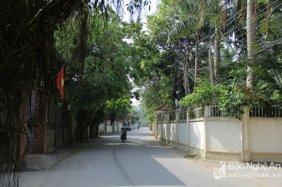 đường vào xóm Xuân Lộc (Nghi Xuân) rợp bóng mát. Ảnh Mỹ Nga