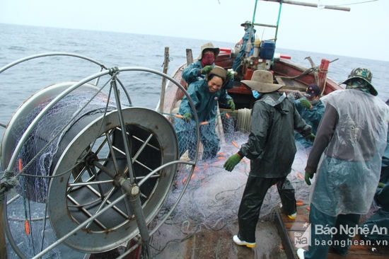 Ngư dân sử dụng máy tời kéo lưới. Ảnh: Tiến Hùng